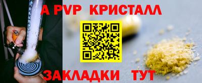 гидра Брянск