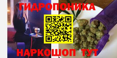 гидра Брянск