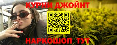 гидра Брянск