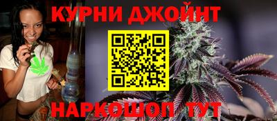 гидра Брянск