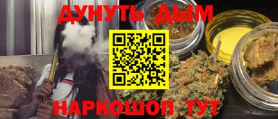 гидра Брянск