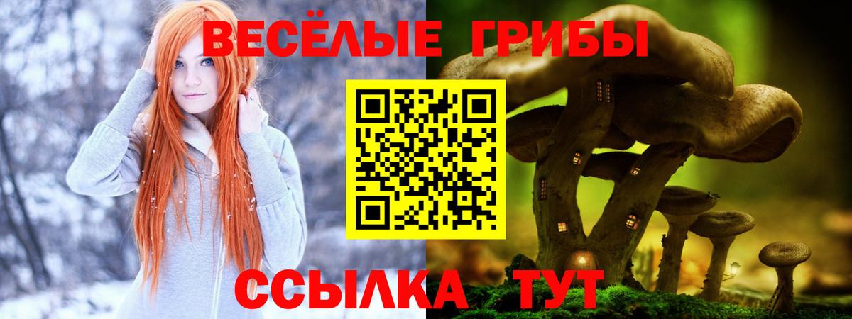 магазин  наркотиков  Вход с VPN  Аргун  Псилоцибиновые грибы ЛСД 